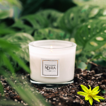 Świeca sojowa - PREMIUM - drzewo cedrowe/ Ylang-Ylang